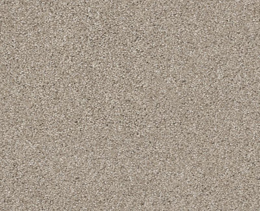 Inspire Me I Catnip 00114