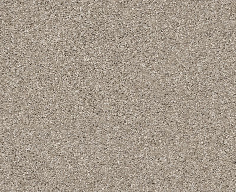 Inspire Me I Catnip 00114