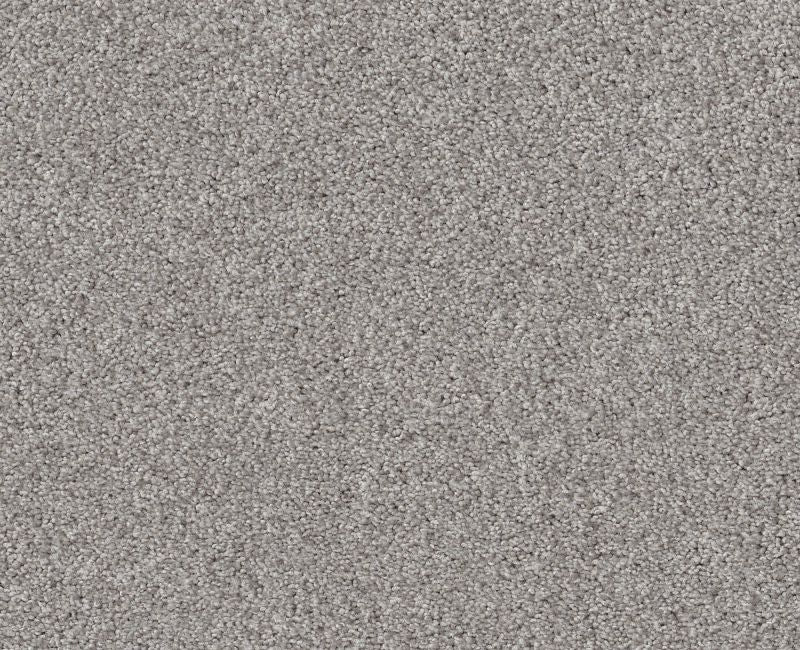 Simple Life Spotlight 00532