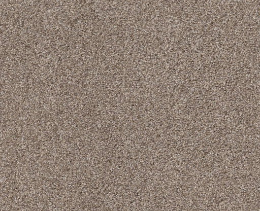 Simple Life Carriage House 00742