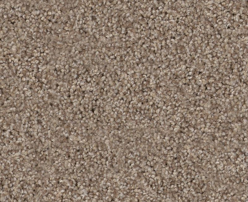 Simple Life Hillcrest Tan 00769