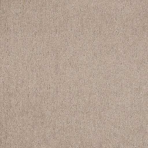 Natural Terrain Polypropylene Delicacy Carpet Textured 1