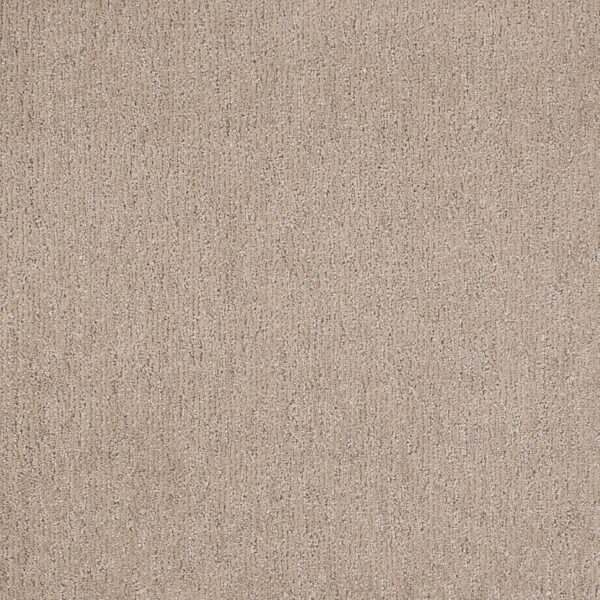 Natural Terrain Polypropylene Delicacy Carpet Textured 1