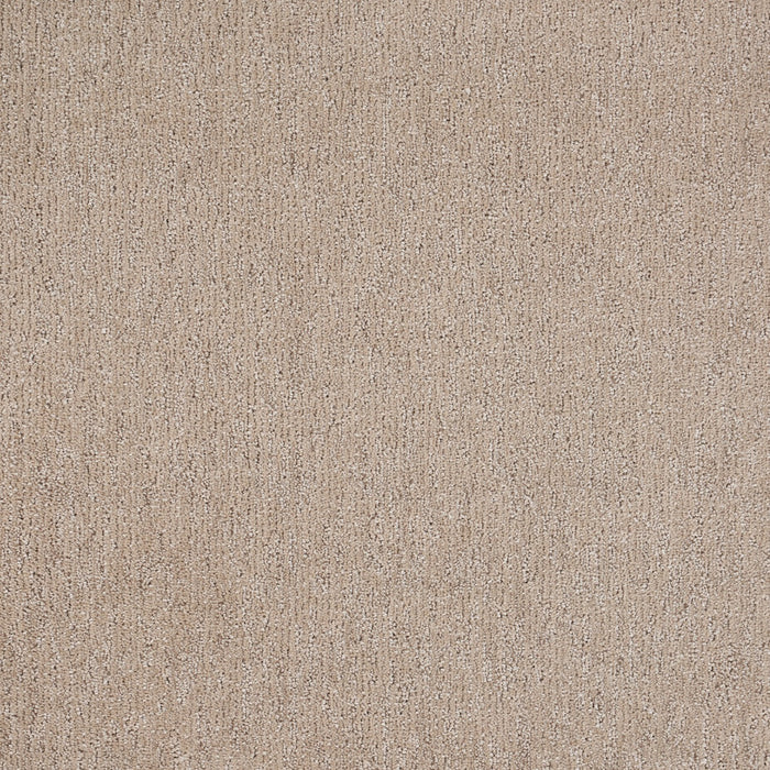 Natural Terrain Polypropylene Delicacy Carpet Textured 2