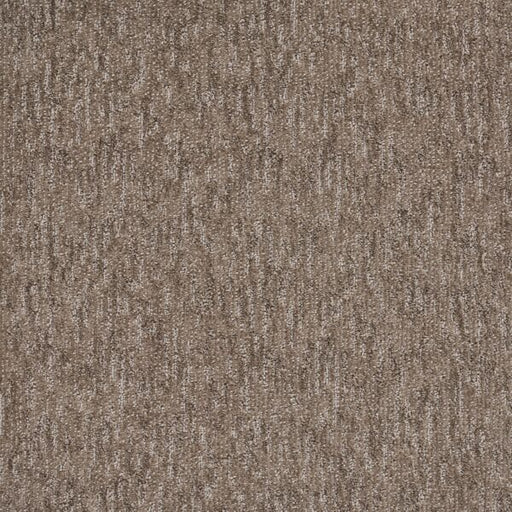 Natural Terrain Polypropylene Filaments Carpet Textured 1