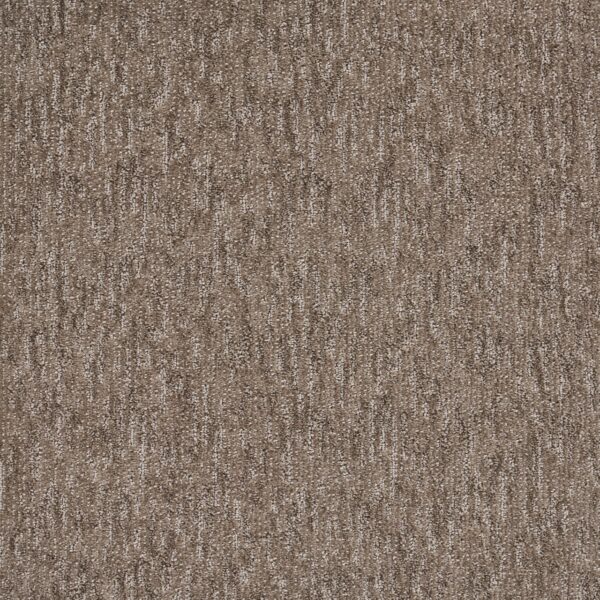 Natural Terrain Polypropylene Filaments Carpet Textured 1