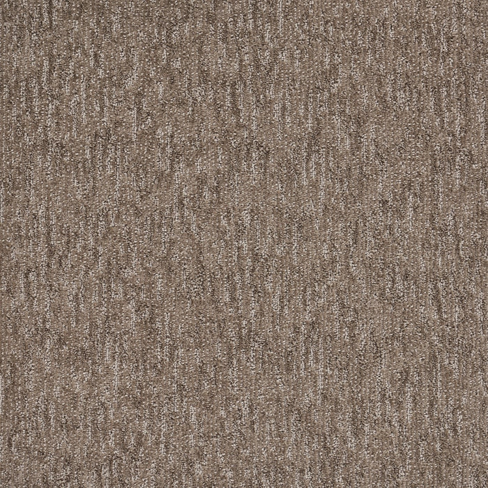 Natural Terrain Polypropylene Filaments Carpet Textured 2