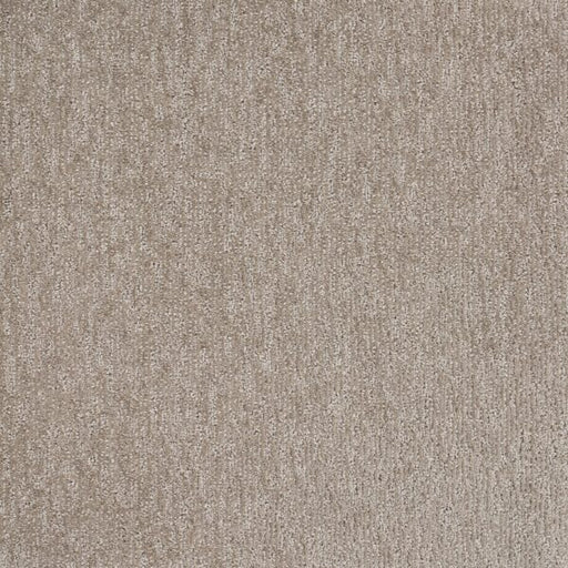 Natural Terrain Polypropylene Silver Carpet Textured 1