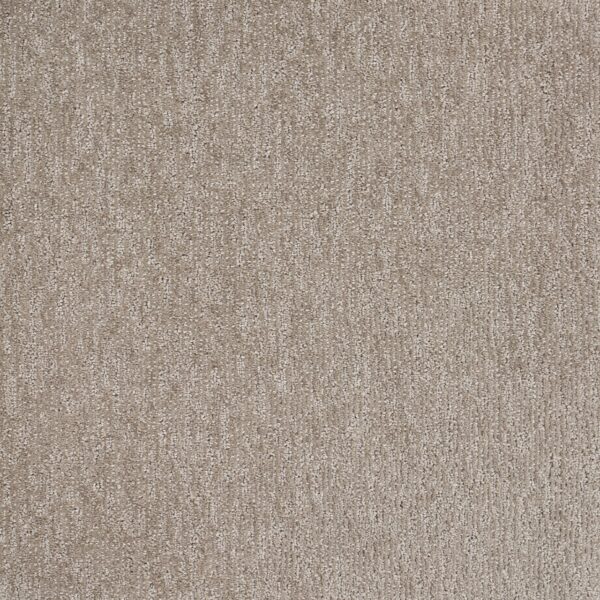Natural Terrain Polypropylene Silver Carpet Textured 1