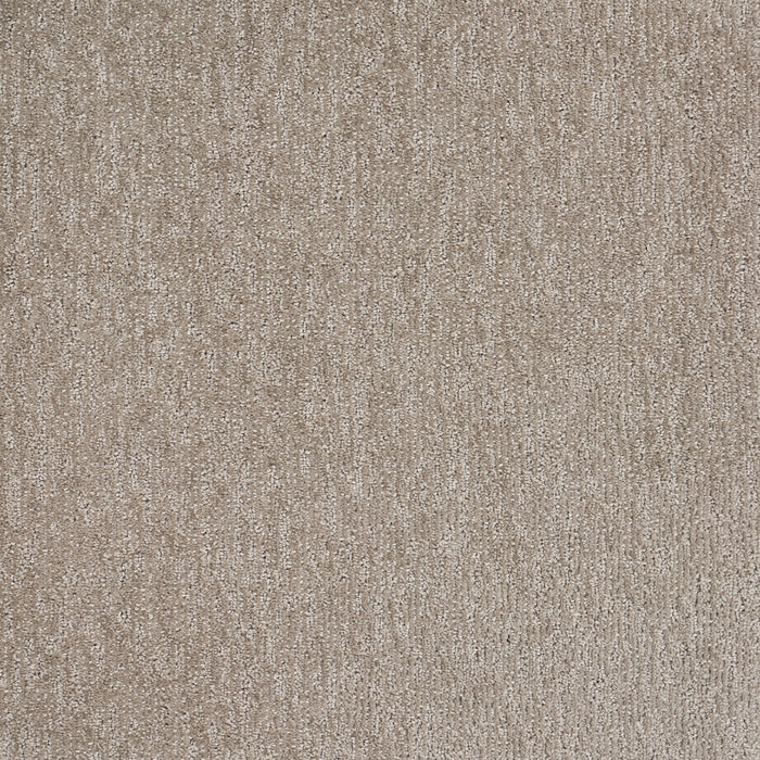 Natural Terrain Polypropylene Silver Carpet Textured 2