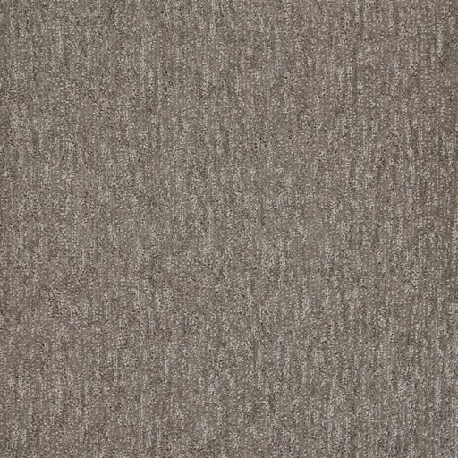 Natural Terrain Polypropylene Decor Carpet Textured 1