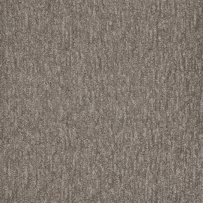 Natural Terrain Polypropylene Decor Carpet Textured 2