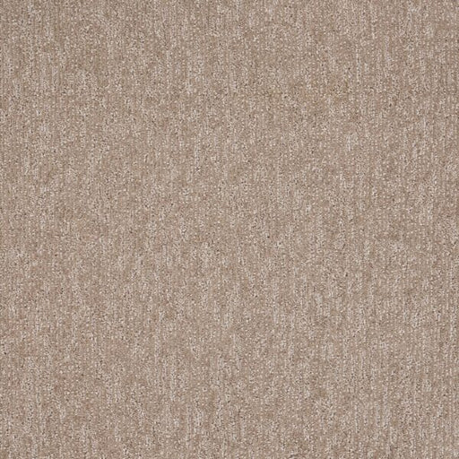 Natural Terrain Polypropylene Intricate Carpet Textured 1
