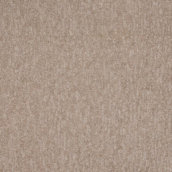 Natural Terrain Polypropylene Intricate Carpet Textured 1