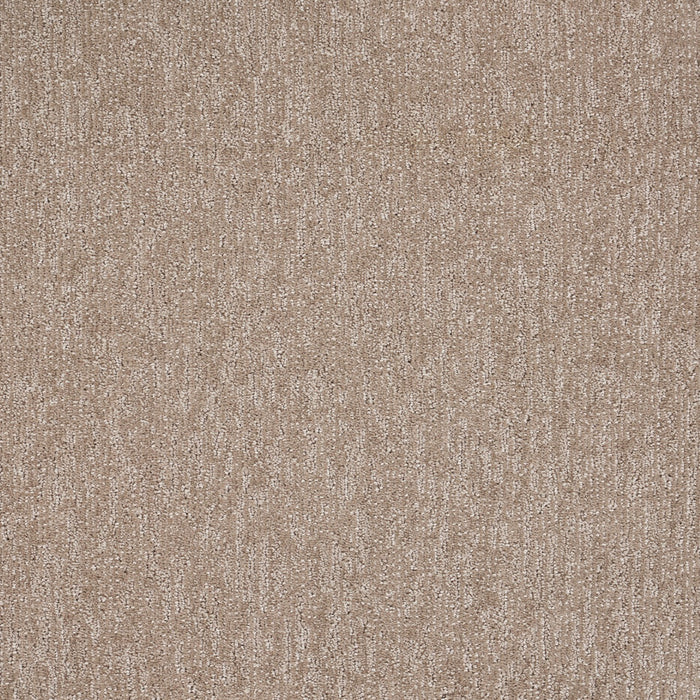 Natural Terrain Polypropylene Intricate Carpet Textured 2
