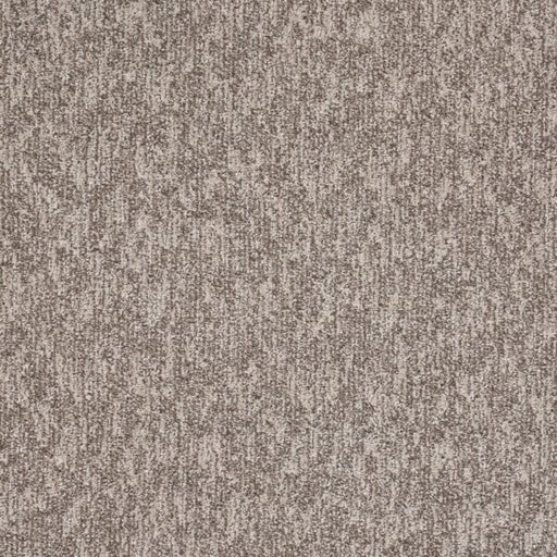 Natural Terrain Polypropylene Refined Carpet Textured 1