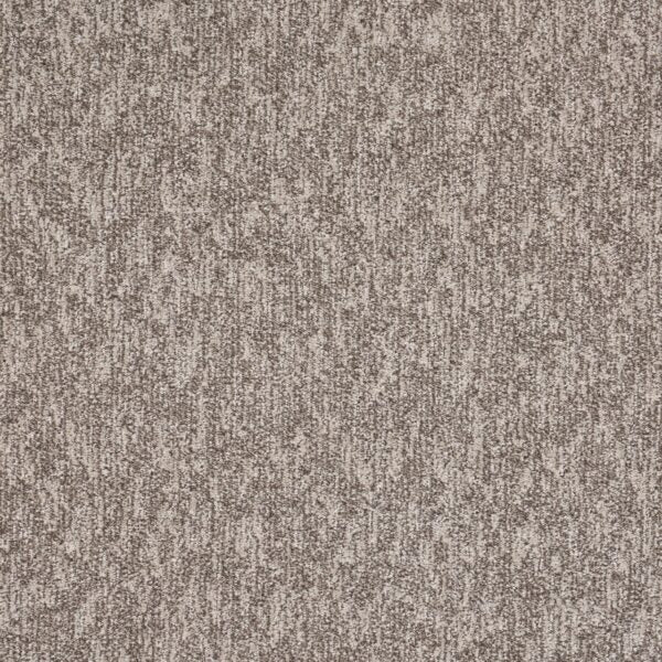 Natural Terrain Polypropylene Refined Carpet Textured 1