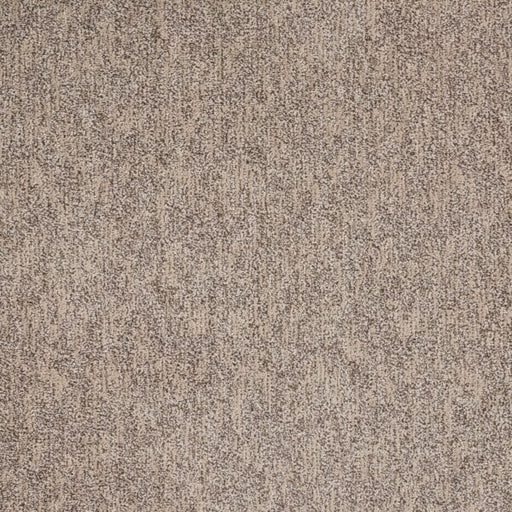 Natural Terrain Polypropylene Classic Carpet Textured 1