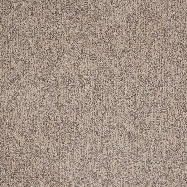 Natural Terrain Polypropylene Classic Carpet Textured 1