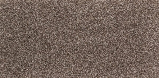 New Foundation Polypropylene Creek Carpet Textured 1