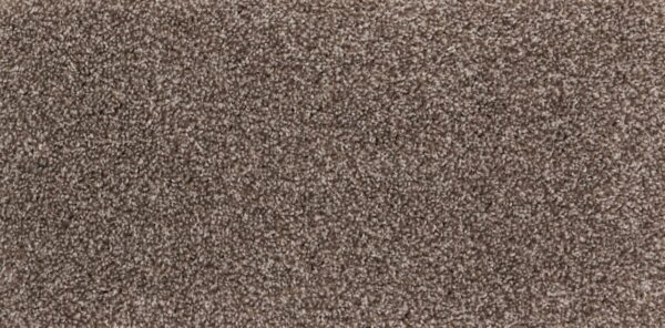 New Foundation Polypropylene Creek Carpet Textured 1