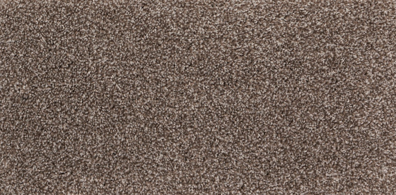 New Foundation Polypropylene Creek Carpet Textured 2