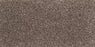 New Foundation Polypropylene Creek Carpet Textured 2