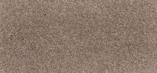 New Foundation Polypropylene Bungalow Carpet Textured 1