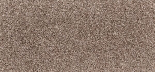 New Foundation Polypropylene Bungalow Carpet Textured 1