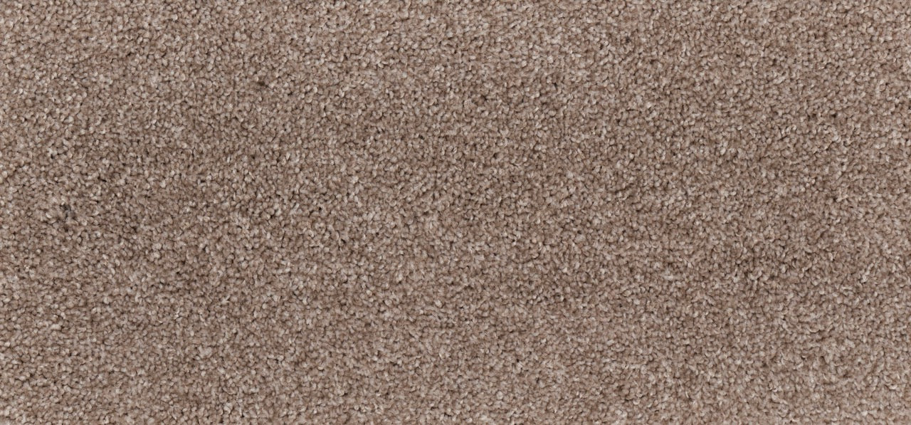 New Foundation Polypropylene Bungalow Carpet Textured 2