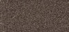 New Foundation Polypropylene Walnut Carpet Textured 1