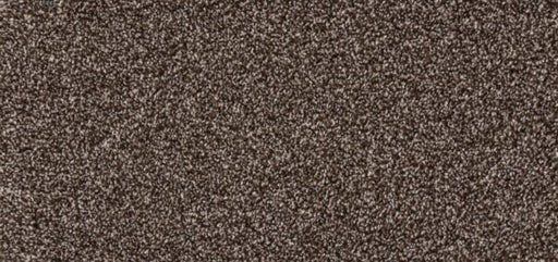 New Foundation Polypropylene Walnut Carpet Textured 1