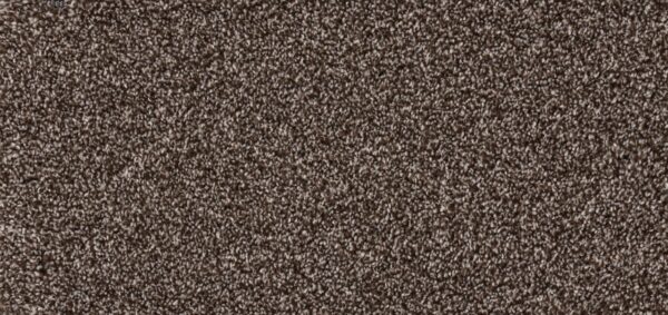 New Foundation Polypropylene Walnut Carpet Textured 1