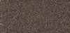 New Foundation Polypropylene Walnut Carpet Textured 2