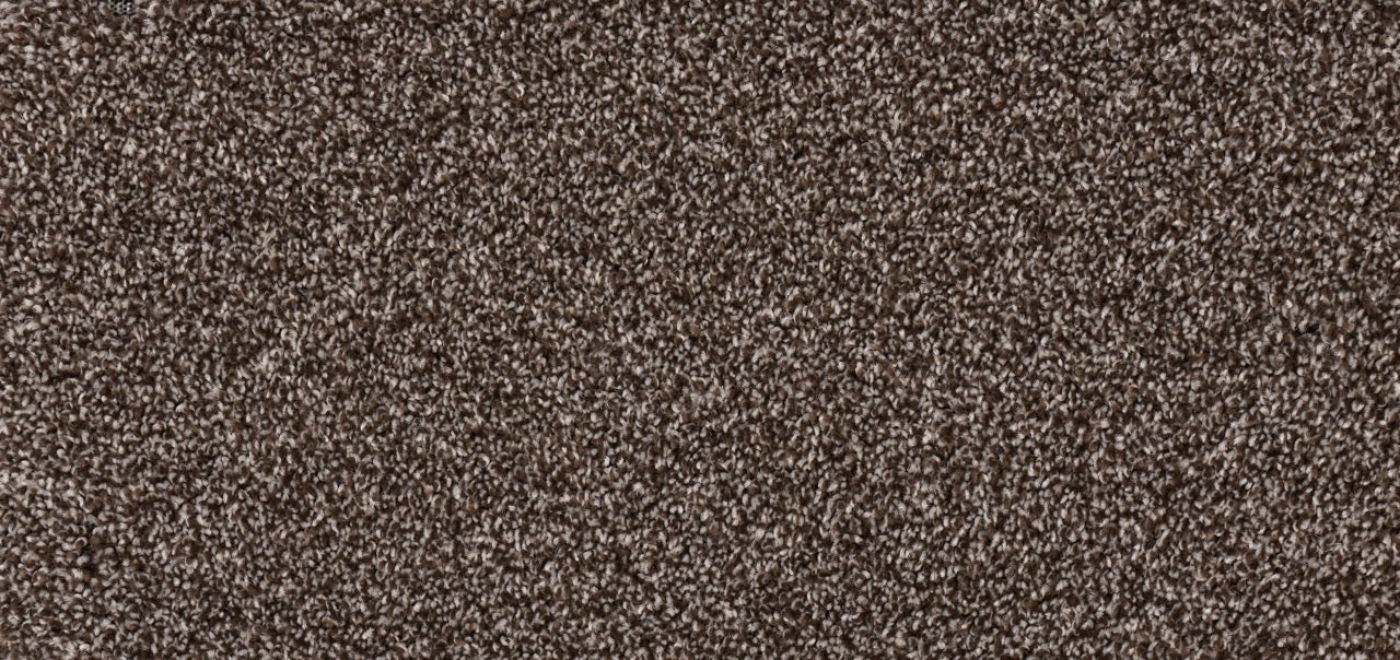 New Foundation Polypropylene Walnut Carpet Textured 2