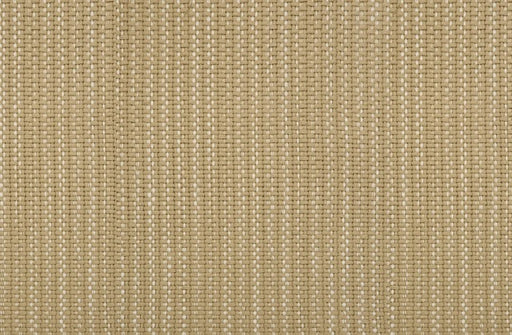 New Providence Polyester Ochre 82525 Carpet NWPRO Textured 1