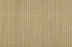 New Providence Polyester Ochre 82525 Carpet NWPRO Textured 1