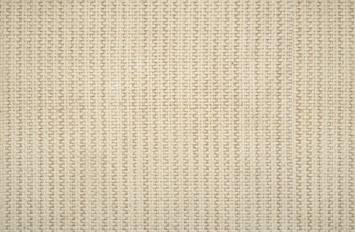 New Providence Polyester Sea Salt 82522 Carpet NWPRO Textured 1
