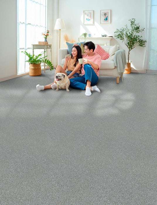 New Dawn II Polyester Splendor 4079 Carpet Textured 2