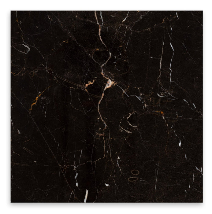 Full Tile Sample - New Saint Laurent Marble Tile - 12" x 24" x 3/8" Polished