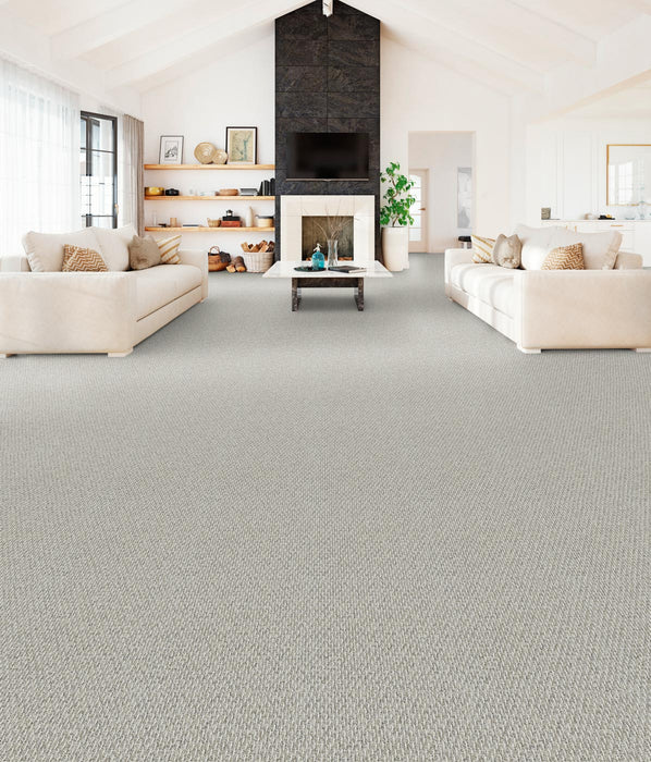 Nimbus Polyester Whiskers 2993 Carpet Loop 2