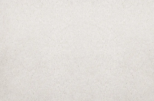 Noble Solution Dyed Polyes Alabaster 25241 Carpet NOBL Loop 1