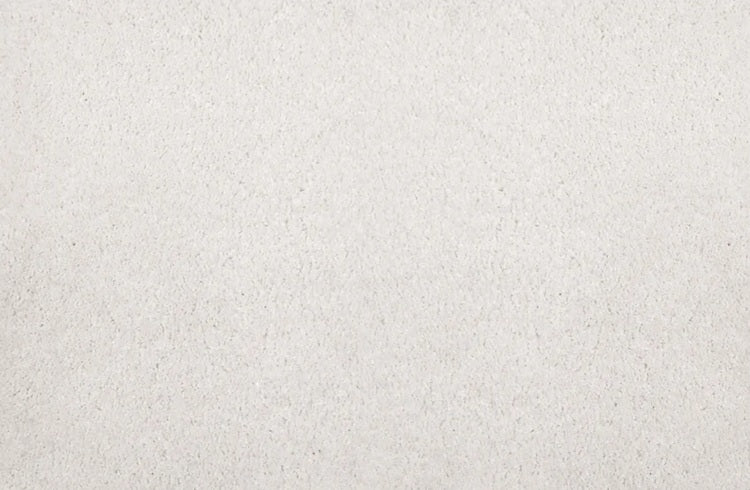 Noble Solution Dyed Polyes Alabaster 25241 Carpet NOBL Loop 1