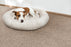 Noble Solution Dyed Polyes Caramel 25245 Carpet NOBL Loop 2