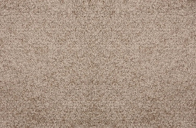 Noble Solution Dyed Polyes Caramel 25245 Carpet NOBL Loop 1
