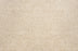 Noble Solution Dyed Polyes Champagne 25242 Carpet NOBL Loop 1