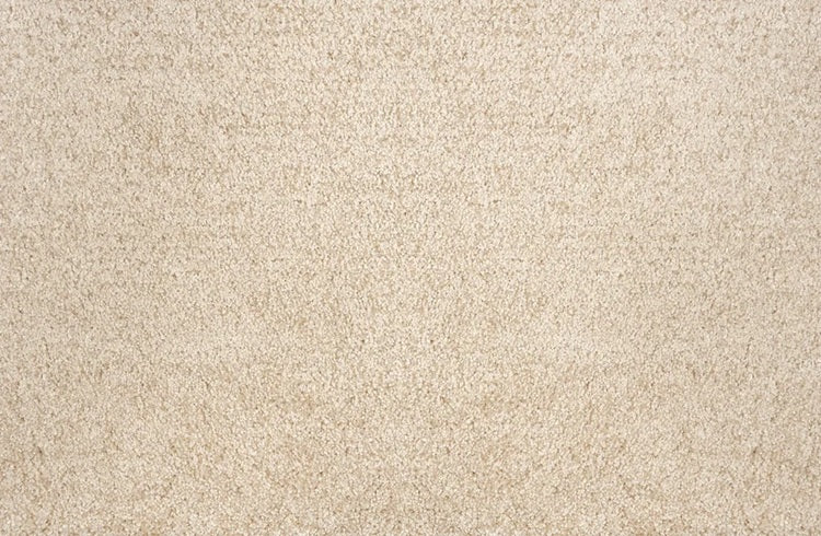 Noble Solution Dyed Polyes Champagne 25242 Carpet NOBL Loop 1