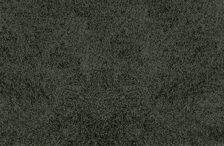 Noble Solution Dyed Polyes Hunter 25247 Carpet NOBL Loop 1