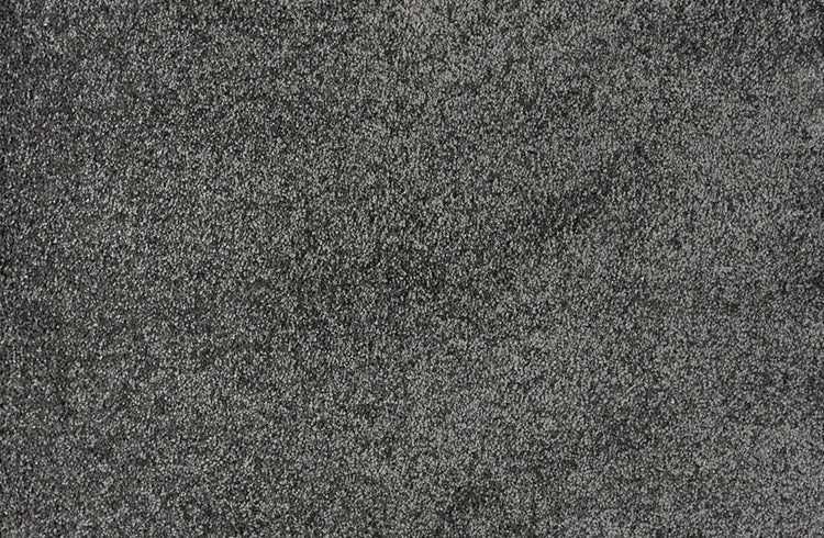 Noble Solution Dyed Polyes Iron 25246 Carpet NOBL Loop 1