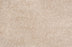 Noble Solution Dyed Polyes Latte 25244 Carpet NOBL Loop 1